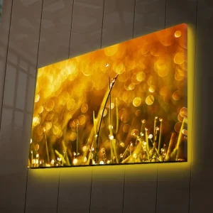 Premium Canvastavla med LED-belysning 45x70 cm - Glittrande gräs med droppar av dagg i gyllene ljus Guld / Grön - Inredning