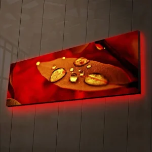 Köp nu Canvastavla med LED-belysning 30x90 cm - Röd blad med vattendroppar som glittrar Röd / Guld / Brun - Inredning