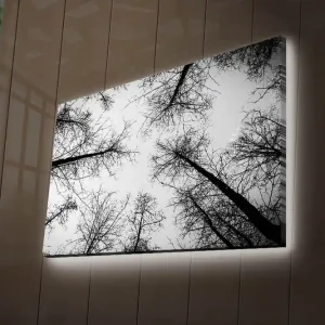 Canvastavla med LED-belysning 45x70 cm - Silhuetter av träd mot en ljus bakgrund Svart / Vitt - Inredning Köp online