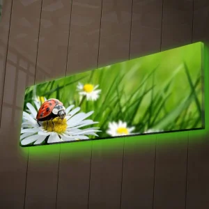 Canvastavla med LED-belysning 30x90 cm - Nyckelpiga på en blomma i grönskande miljö Grön / Vit / Röd - Inredning Nyhet