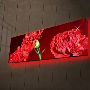 Canvastavla med LED-belysning 30x90 cm - Färgrik bukett av nejlikor Röd / Grön - Inredning Utförsäljning