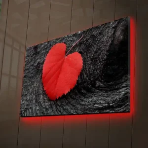 Expressleverans Canvastavla med LED-belysning 50x70 cm - Röd hjärtformad löv på en mörk träyta Röd / Svart - Inredning