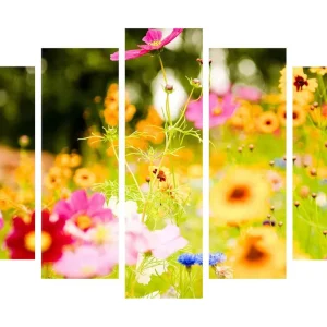 Begränsat erbjudande Stor Canvastavla i 5 delar 105x70 cm - Färgrik blomsteräng med olika blommor Rosa / Orange / Gult - Inredning