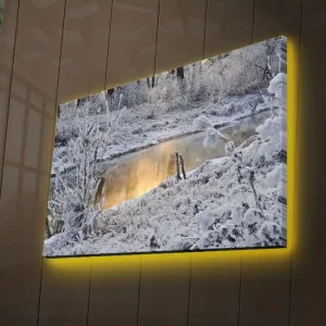 Canvastavla med LED-belysning 45x70 cm - Vinterlandskap med snöklädda träd och en spegelblanka yta av vatten Vit / Grå / Ljusblå - Inredning Beställ idag