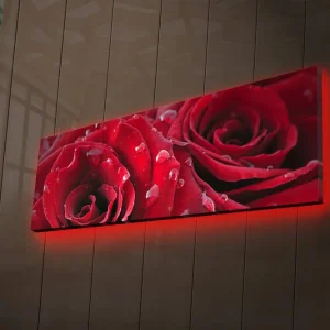 risnedsättning Canvastavla med LED-belysning 30x90 cm - Djupa röda rosor med vattendroppar Röd / Grön - Inredning