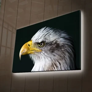 Fynd Canvastavla med LED-belysning 45x70 cm - Storslagen örn med intensiv blick Vit / Gul / Svart - Inredning