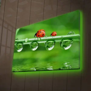 Canvastavla med LED-belysning 45x70 cm - Nyckelpigor på en grön gräslina med vattendroppar Grön / Röd / Transparent - Inredning Lägg i varukorgen