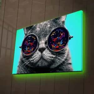 Köp nu Canvastavla med LED-belysning 45x70 cm - Grå katt med solglasögon som reflekterar färgglada explosioner Grå / Svart / Turkos - Inredning