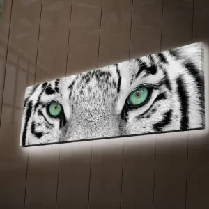 Erbjudandepris Canvastavla med LED-belysning 30x90 cm - Närbild av en vit tigers ögon med intensiva detaljer Vit / Svart / Grön - Inredning