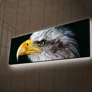 Canvastavla med LED-belysning 30x90 cm - Storslagen örn med detaljerad fjäderdräkt Grå / Gul / Svart - Inredning Lågt pris