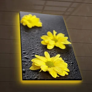 Canvastavla med LED-belysning 70x45 cm - Gula blommor med droppar av vatten på en mörk yta Gul / Svart - Inredning Snabb frakt