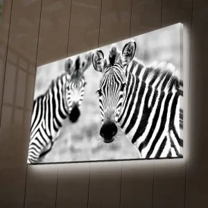 Trygg betalning Canvastavla med LED-belysning 45x70 cm - Svartvita zebror med tydliga ränder Svart / Vit - Inredning