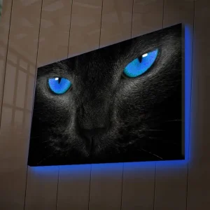 Canvastavla med LED-belysning 45x70 cm - Svart katt med intensiva blå ögon Svart / Blå - Inredning Köp nu
