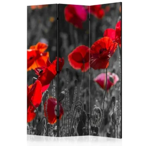 Nyhet Kadira Rumsavdelare 135x172 cm VALUE_MISSING_1 - Inredning