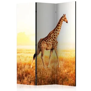 Billig Kadira Rumsavdelare 135x172 cm VALUE_MISSING_1 - Inredning