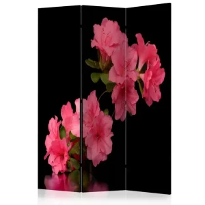 Säker betalning Kadira Rumsavdelare 135x172 cm VALUE_MISSING_1 - Inredning