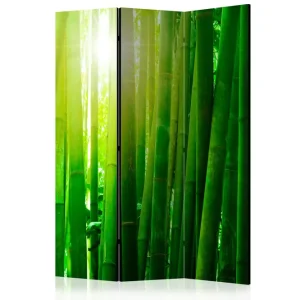Expressleverans Kadira Rumsavdelare 135x172 cm VALUE_MISSING_1 - Inredning