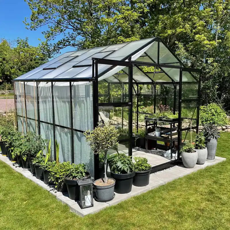 Bästa pris Glasväxthus 8,0m² | 5 års stormgaranti | 4mm säkerhetsglas | Svart - Trädgård & spabad