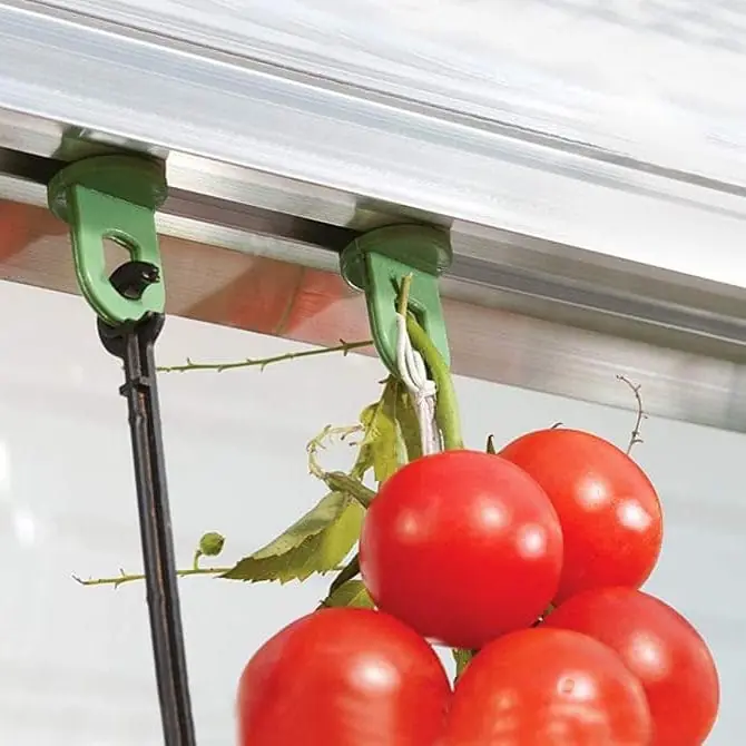 Endast idag Planthängare 10-pack 3x2x1,5 cm Grön - Hus & renovering