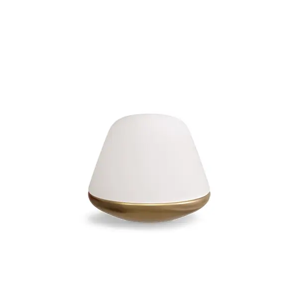 Fynd Bloom Bordslampa Liten Mässing/Opalvit