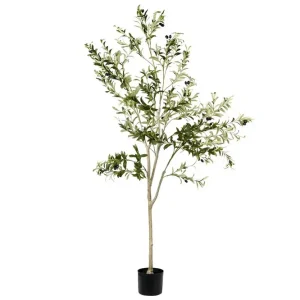 Begränsat antal Konstgjord växt Olive Tree 75x75x178 cm - Inredning & dekor